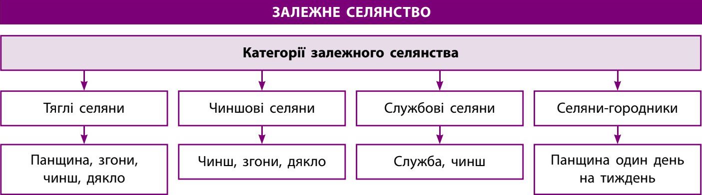 §3. Соціально-економічне життя на українських землях на початку — у середині XVI ст.